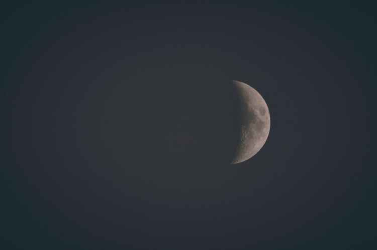 NOVILUNIO IN TORO –&nbsp;30.04.2022